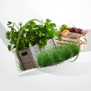 Organic"